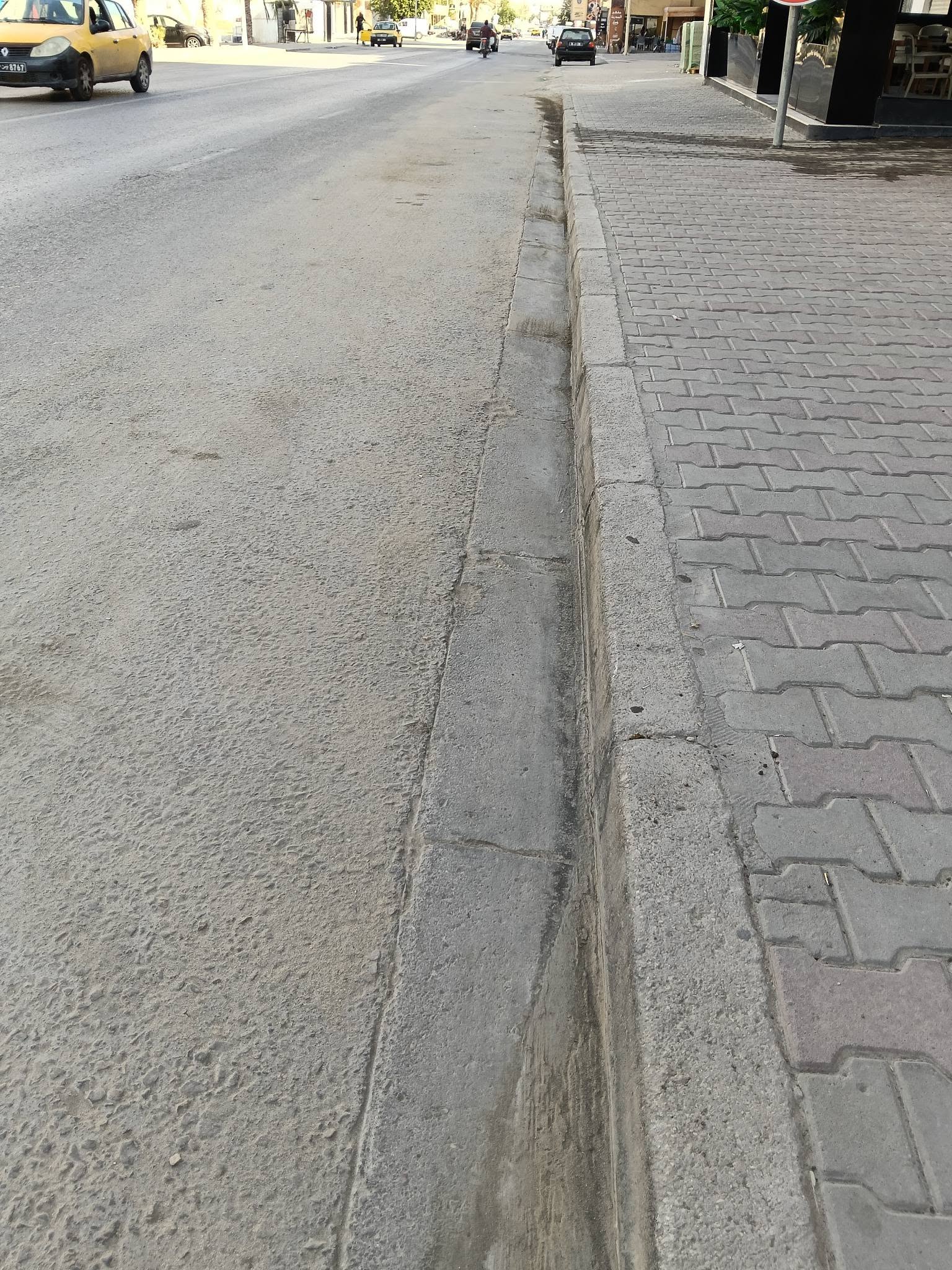 شركة البيئة والغراسة والبستنة بقابس "من أجل مدينة أجمل"