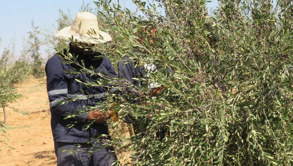 558128920_122222297948091450_2276295692153638857_n