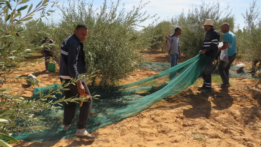 558871416_122222297672091450_2809440126549821308_n