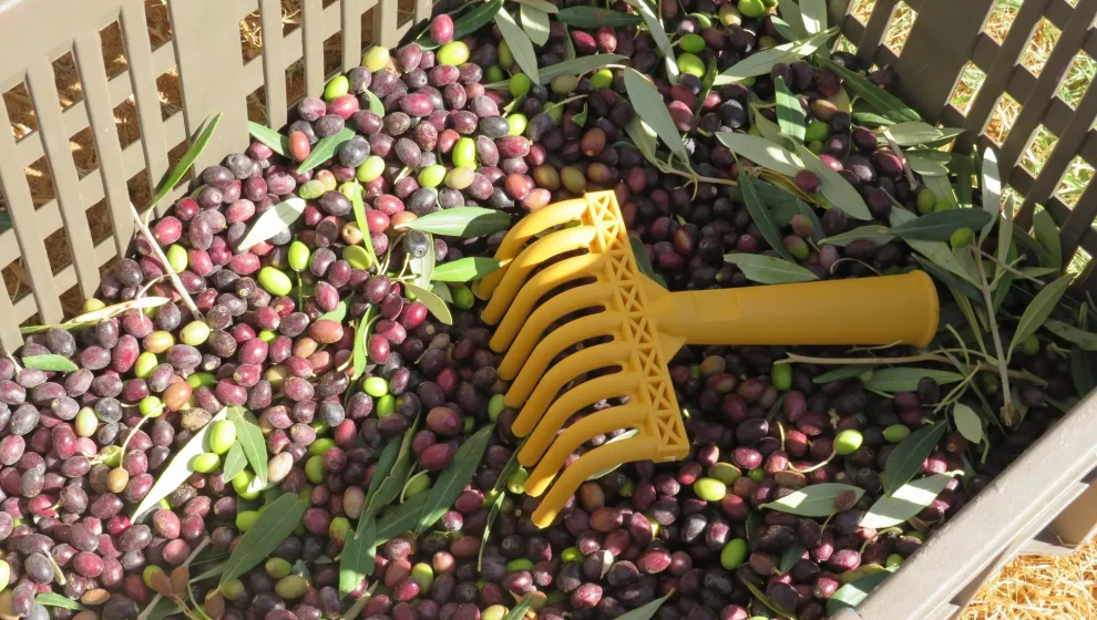 558969004_122222297876091450_3498993887426962530_n