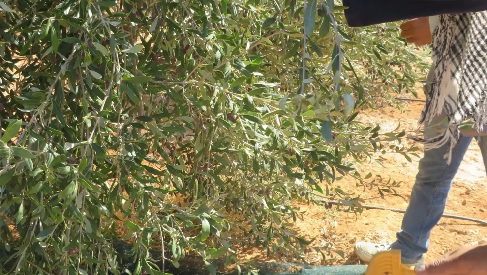 560581015_122222297972091450_8860891695315442478_n