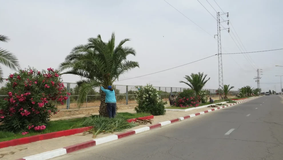 594137493_122228835530091450_8756470729969080553_n