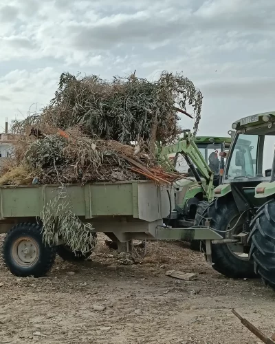 600992076_122230995656091450_8932779344917700138_n