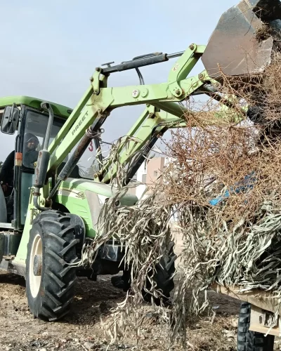 601010363_122230996166091450_3915407250719042772_n