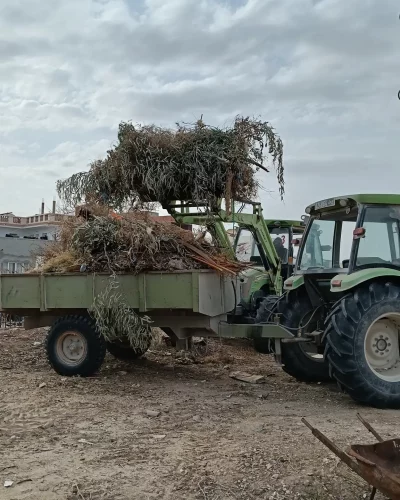 605116943_122230996232091450_1090430672383376622_n