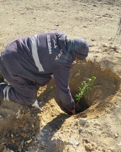 616553205_122234505398091450_2887899727786941787_n