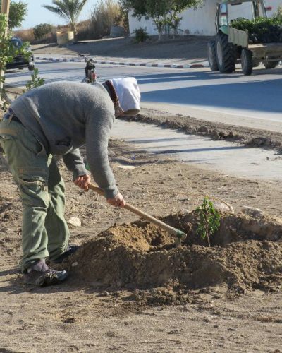 617337134_122234505362091450_6050219731993988031_n