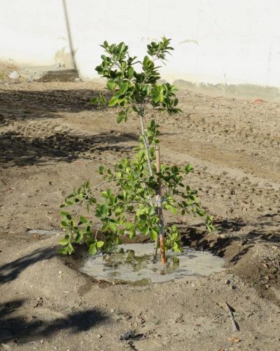 617504754_122234506490091450_3276483653653303469_n