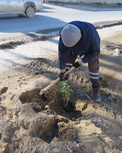 617613253_122234505116091450_5181075448379854033_n