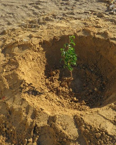 617652486_122234505434091450_3025052000877101944_n