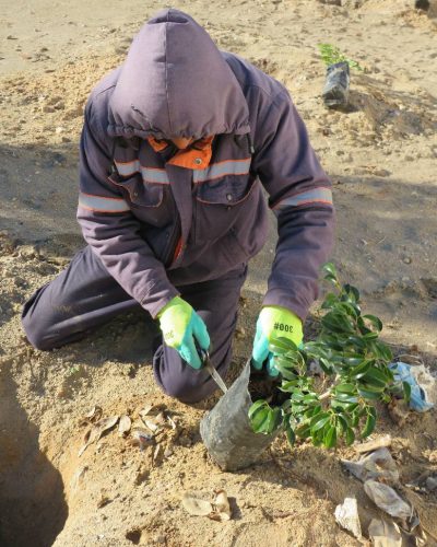 618125242_122234505542091450_1340377623595025349_n