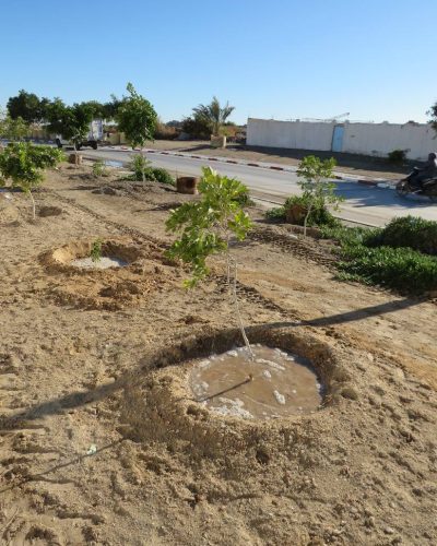 618294382_122234506328091450_8186712530553692865_n