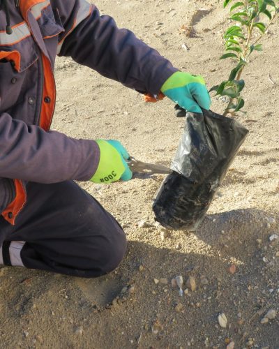 618960947_122234508350091450_8780101021715074095_n