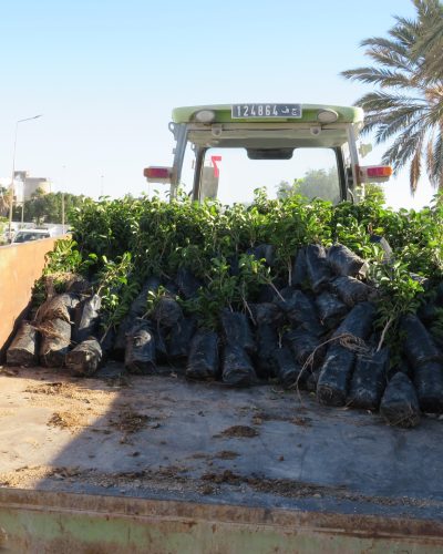 618981879_122234507126091450_5419461962787667259_n