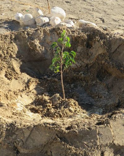 619086738_122234505638091450_1970684136407645148_n