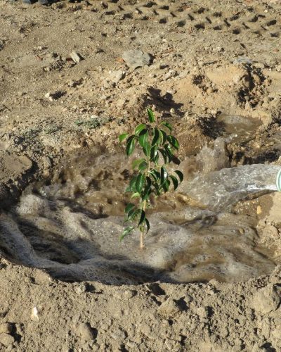 619093612_122234506178091450_8571859640718947124_n