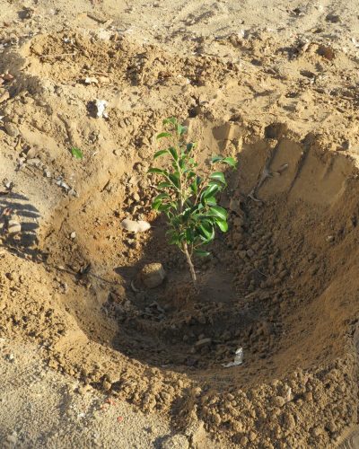 619113357_122234508290091450_32871359441091632_n