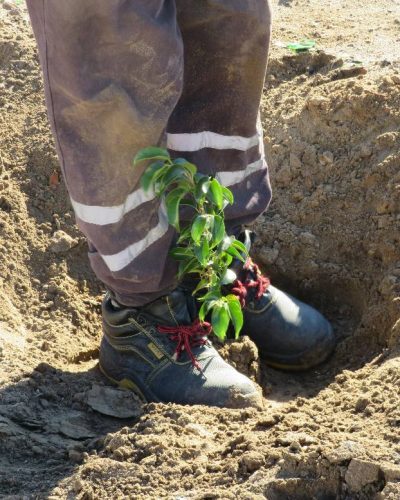 619230906_122234505836091450_7455186949973437169_n