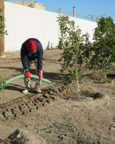 619256741_122234506256091450_7520910091802276581_n