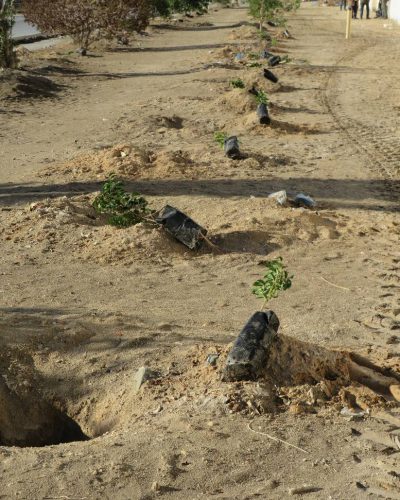 619615098_122234505194091450_1641191743558523054_n